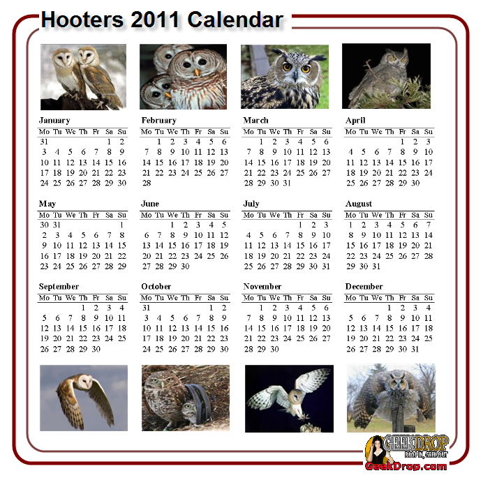 Hooters 2011 Calendar FREE Hooters 2011 Calendar FREE