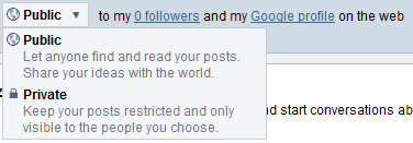 Google Buzz - Public or Private, Privacy options